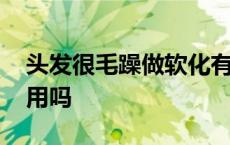 头发很毛躁做软化有用吗 头发毛躁做软化有用吗 