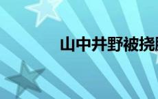 山中井野被挠脚心 山中井野 