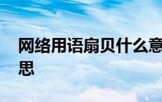 网络用语扇贝什么意思 网络上扇贝是什么意思 