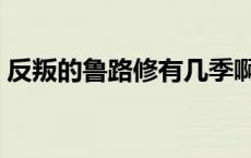 反叛的鲁路修有几季啊 反叛的鲁鲁修有几季 