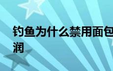 钓鱼为什么禁用面包虫 黄粉虫养殖技术与利润 