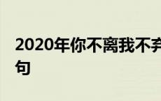 2020年你不离我不弃句子 你不离我不弃下一句 