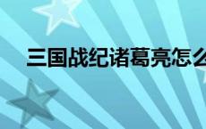 三国战纪诸葛亮怎么选 三国战纪诸葛亮 