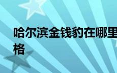 哈尔滨金钱豹在哪里 哈尔滨金钱豹自助餐价格 