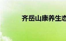 齐岳山康养生态园简介 齐岳山 