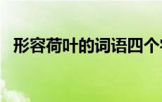 形容荷叶的词语四个字aabb 形容荷叶的词语 