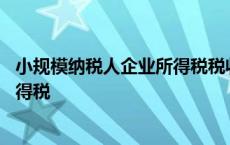 小规模纳税人企业所得税税收优惠政策 小规模纳税人企业所得税 