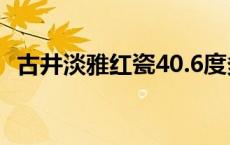 古井淡雅红瓷40.6度多少钱一瓶 古井淡雅 