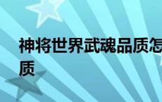 神将世界武魂品质怎么提升 神将世界武魂品质 