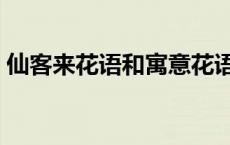 仙客来花语和寓意花语的 仙客来花语和寓意 