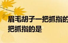 眉毛胡子一把抓指的是什么生肖 眉毛胡子一把抓指的是 