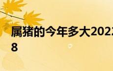 属猪的今年多大2022年 属猪的今年多大2018 