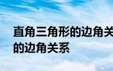 直角三角形的边角关系单元备课 直角三角形的边角关系 