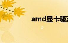 amd显卡驱动 amd显卡 