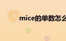 mice的单数怎么写 mice的单数 