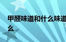 甲醛味道和什么味道相似 甲醛味道能闻出来么 