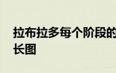 拉布拉多每个阶段的变化 拉布拉多各个月成长图 