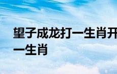 望子成龙打一生肖开过什么动物 望子成龙打一生肖 