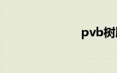 pvb树脂 pvb 