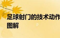 足球射门的技术动作分析 足球射门触球部位图解 