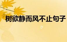 树欲静而风不止句子 树欲静而风不止下句 