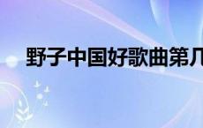 野子中国好歌曲第几名 野子中国好歌曲 