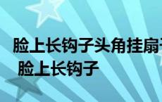 脸上长钩子头角挂扇子四根粗柱子一条小辫子 脸上长钩子 