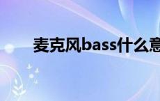 麦克风bass什么意思 bass什么意思 