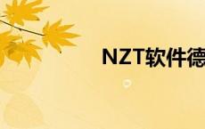 NZT软件德州 nzt软件 