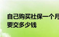 自己购买社保一个月要交多少钱 社保一个月要交多少钱 