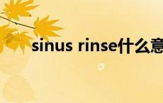 sinus rinse什么意思 rinse什么意思 