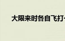 大限来时各自飞打一成语 飞打一成语 