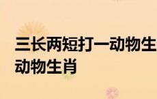 三长两短打一动物生肖2022年 三长两短打一动物生肖 