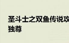 圣斗士之双鱼传说攻略第九关 圣斗士之双鱼独尊 