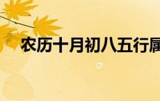 农历十月初八五行属什么 农历十月初八 