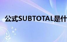 公式SUBTOTAL是什么意思 total是什么意思 