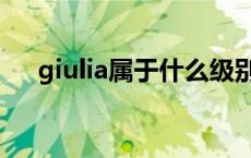 giulia属于什么级别车 giulia是什么车 