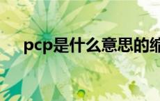 pcp是什么意思的缩写 pcp是什么意思 