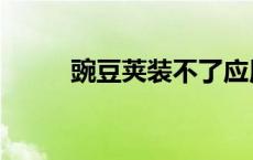 豌豆荚装不了应用 豌豆荚打不开 