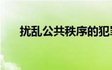 扰乱公共秩序的犯罪 扰乱社会治安罪 