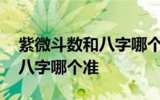 紫微斗数和八字哪个准确率最高 紫微斗数和八字哪个准 