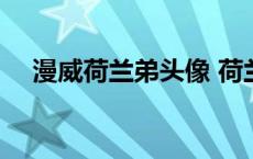 漫威荷兰弟头像 荷兰弟出演的漫威电影 