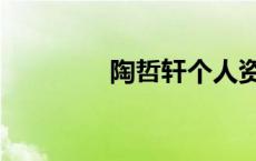 陶哲轩个人资料简介 陶哲 