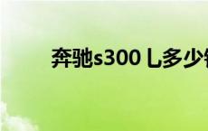 奔驰s300乚多少钱一辆 奔驰s300 