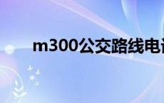 m300公交路线电话 m300公交路线 