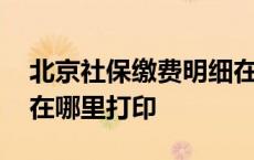 北京社保缴费明细在哪里打印 社保缴费明细在哪里打印 