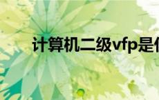 计算机二级vfp是什么 计算机二级vf 