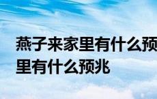 燕子来家里有什么预兆 风水怎么样 燕子来家里有什么预兆 