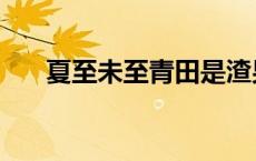 夏至未至青田是渣男吗 夏至未至青田 