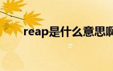 reap是什么意思啊 reap是什么意思 